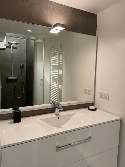 שטרסבורג 90M2 Hyper Centre Sauna מראה חיצוני תמונה